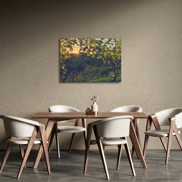 Slika - Vinograd (70x50 cm)