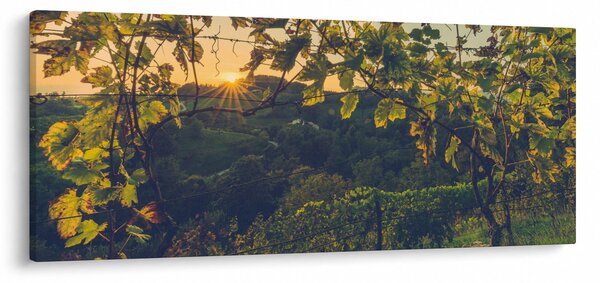 Slika - Vinograd (120x50 cm)