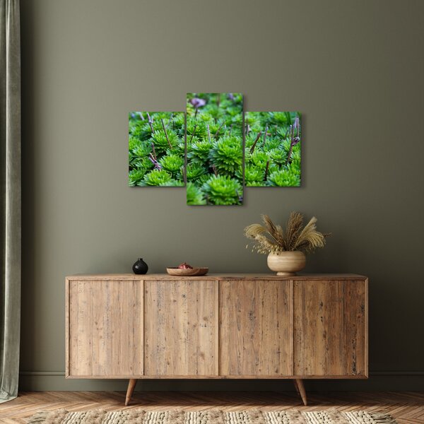 Slika sukulenata (90x60 cm)