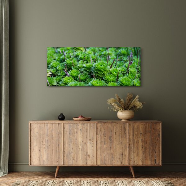 Slika sukulenata (120x50 cm)