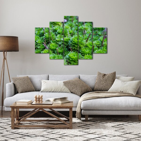 Slika sukulenata (150x105 cm)