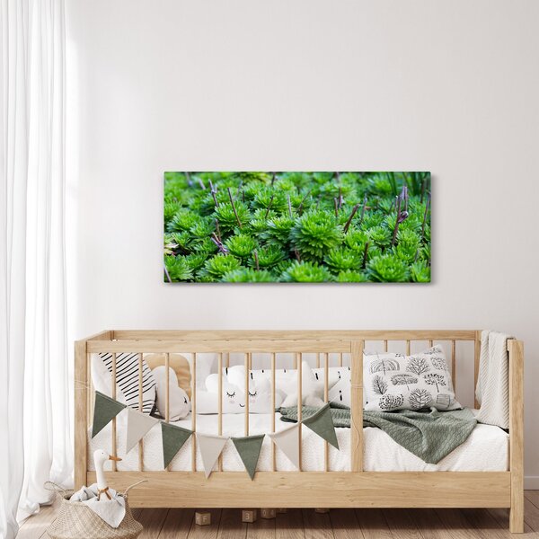 Slika sukulenata (120x50 cm)