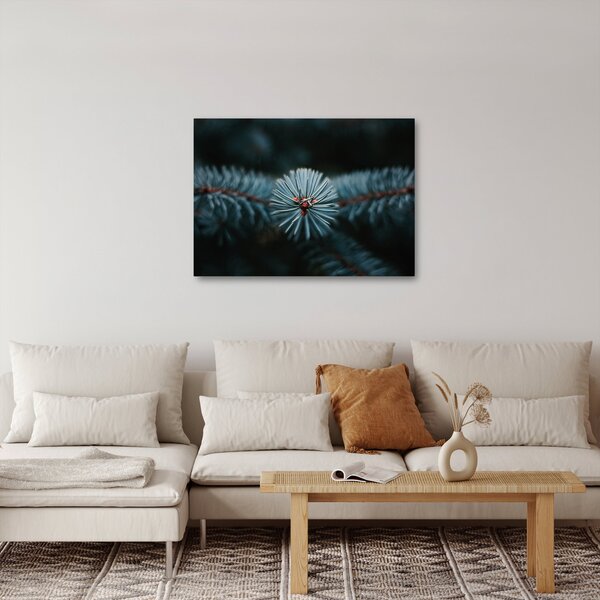 Slika grančice crnogoričnog drveta (70x50 cm)