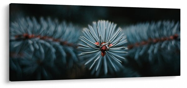 Slika grančice crnogoričnog drveta (120x50 cm)