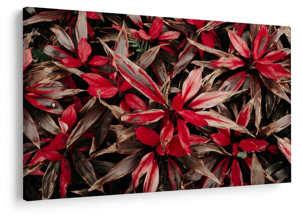 Slika crvenih latica (90x60 cm)