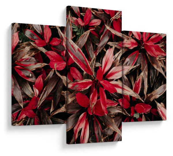 Slika crvenih latica (90x60 cm)