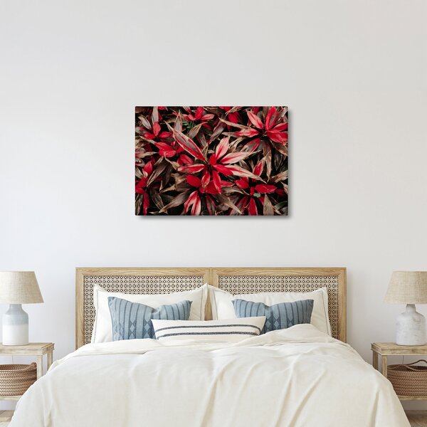Slika crvenih latica (70x50 cm)