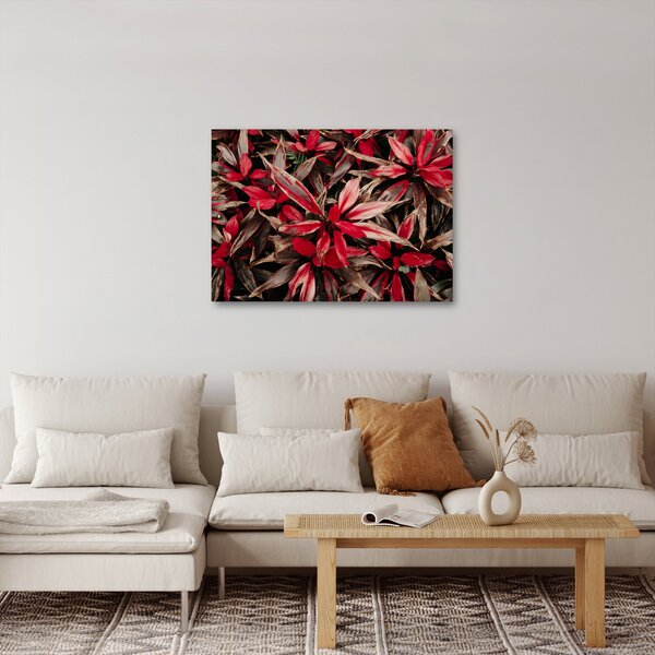 Slika crvenih latica (70x50 cm)