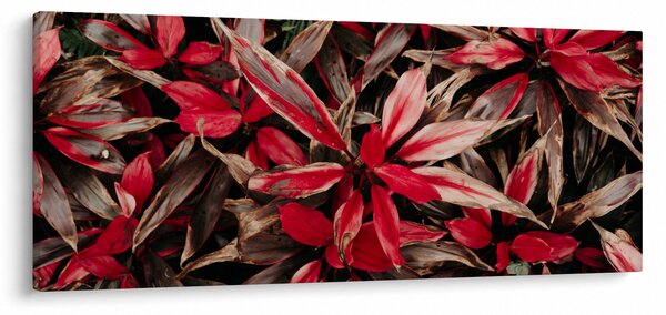 Slika crvenih latica (120x50 cm)