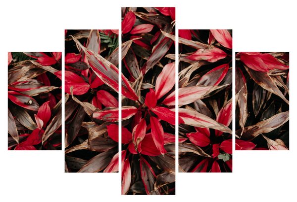 Slika crvenih latica (150x105 cm)