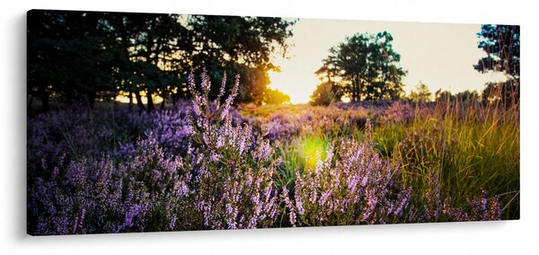 Slika polja lavande (120x50 cm)