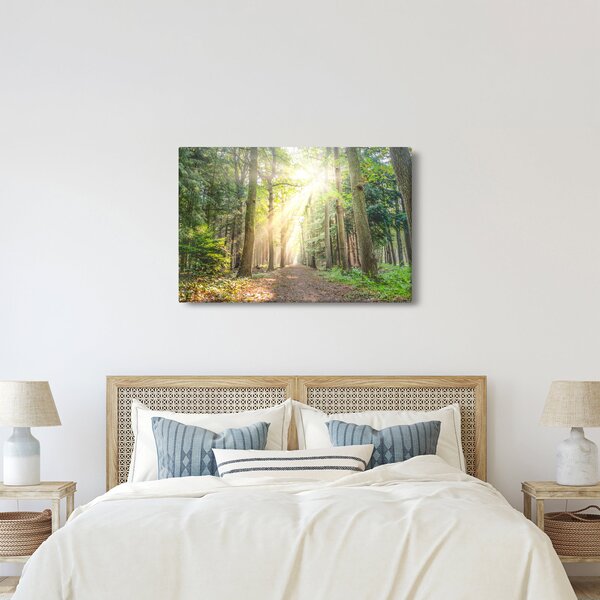 Slika staze u šumi (90x60 cm)