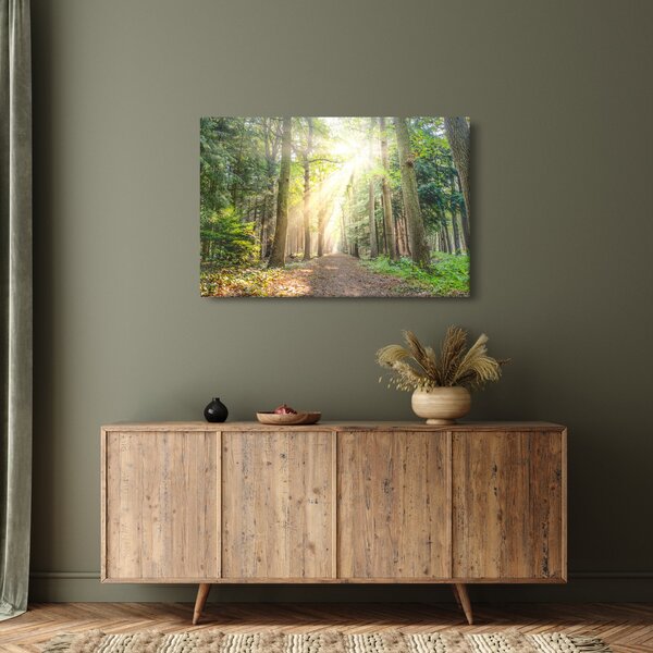 Slika staze u šumi (90x60 cm)
