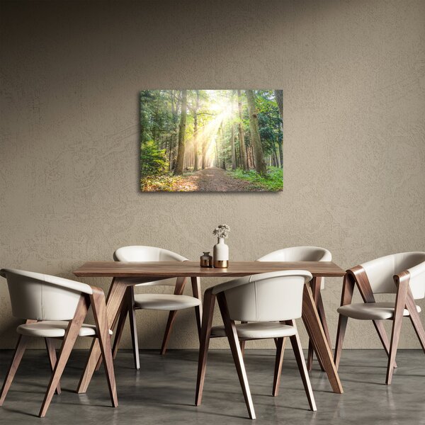 Slika staze u šumi (70x50 cm)