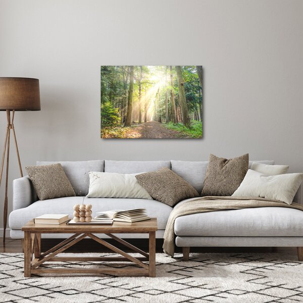 Slika staze u šumi (70x50 cm)