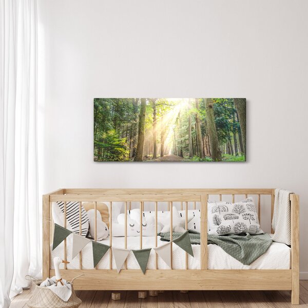 Slika staze u šumi (120x50 cm)
