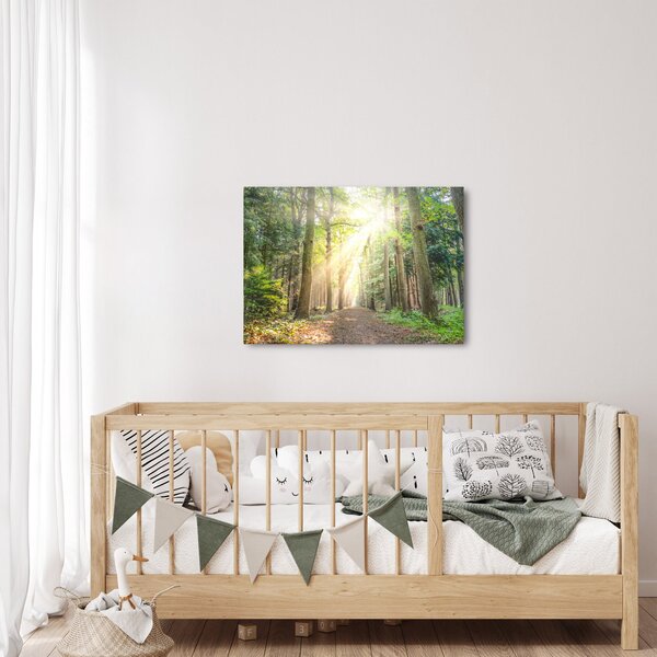 Slika staze u šumi (70x50 cm)