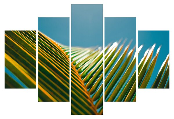 Slika - Detalj palminog lista (150x105 cm)