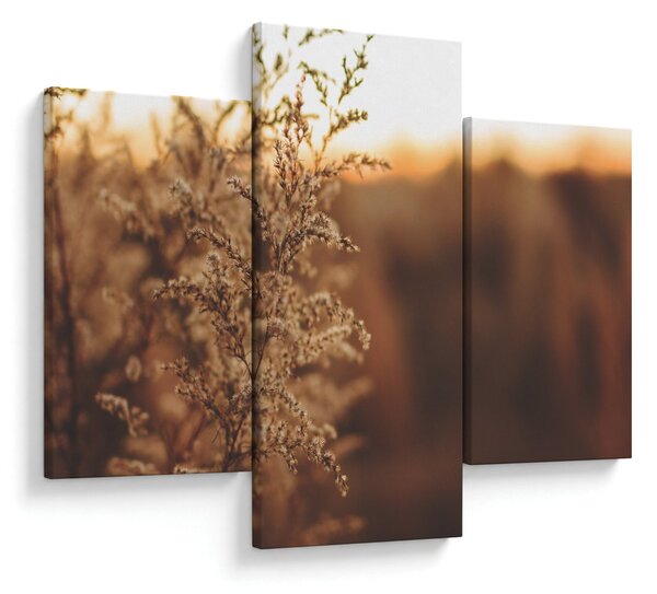 Slika trave koja cvate (90x60 cm)