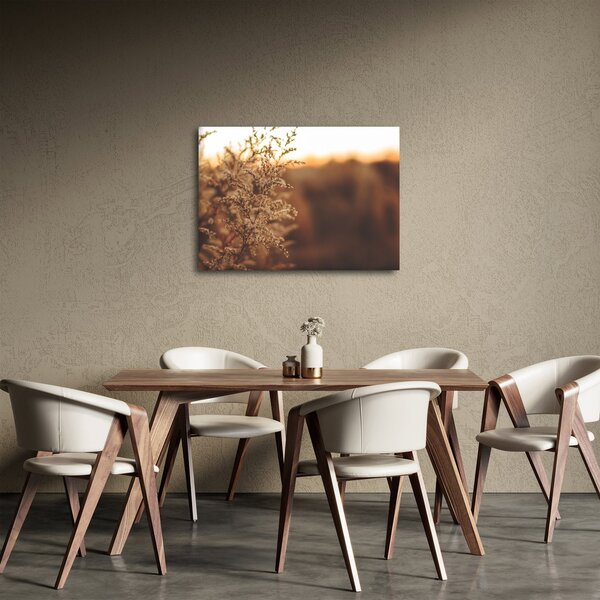 Slika trave koja cvate (70x50 cm)