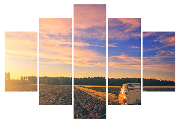 Slika žutog automobila u polju (150x105 cm)