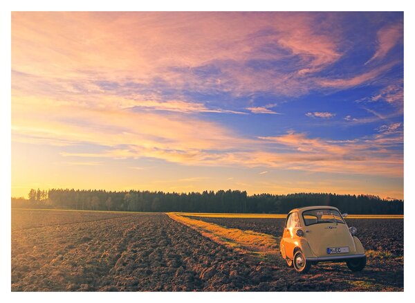 Slika žutog automobila u polju (70x50 cm)