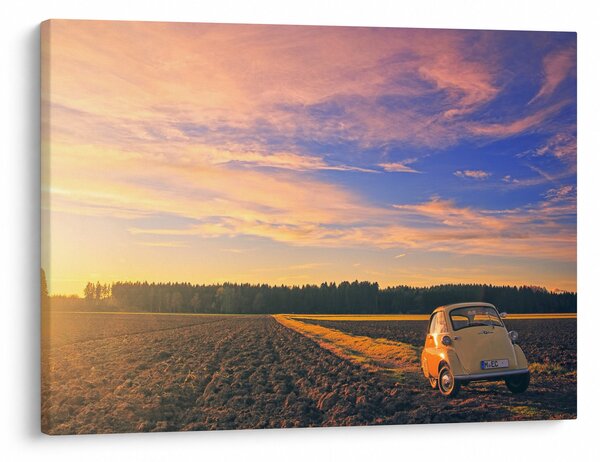 Slika žutog automobila u polju (70x50 cm)