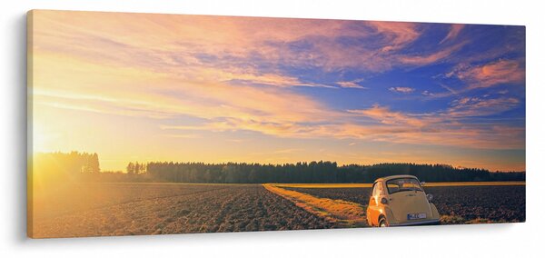 Slika žutog automobila u polju (120x50 cm)