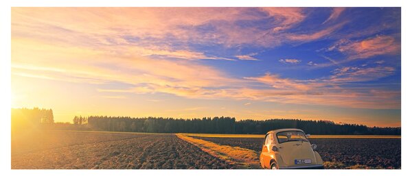 Slika žutog automobila u polju (120x50 cm)