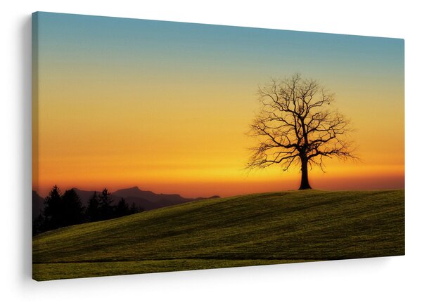 Slika stabla u polju (90x60 cm)