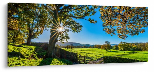 Slika - Pogled na polje (120x50 cm)