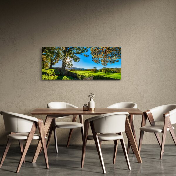Slika - Pogled na polje (120x50 cm)