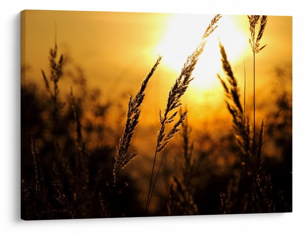 Slika zalazećeg sunca (70x50 cm)