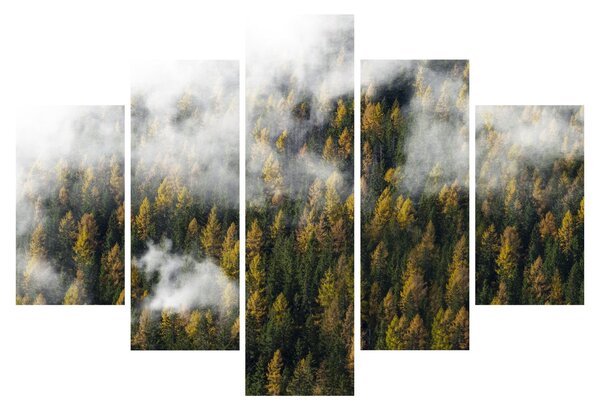 Slika šume u oblacima (150x105 cm)