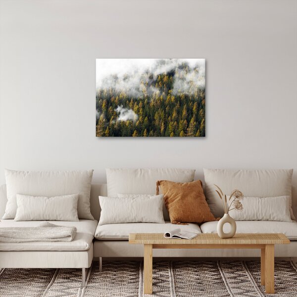 Slika šume u oblacima (70x50 cm)