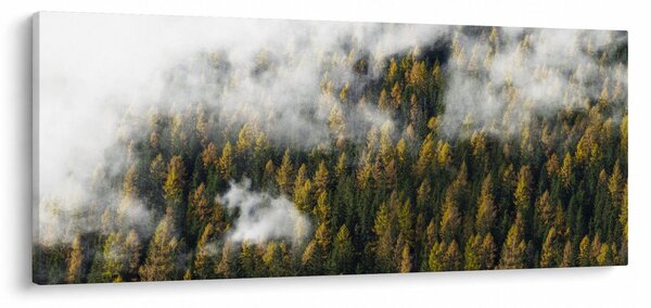 Slika šume u oblacima (120x50 cm)