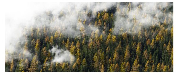 Slika šume u oblacima (120x50 cm)