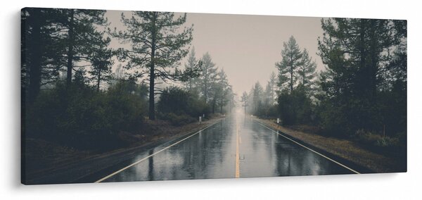 Slika ceste na kiši (120x50 cm)