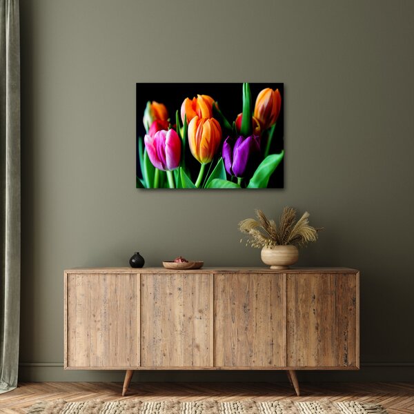 Slika tulipana na crnoj pozadini (70x50 cm)