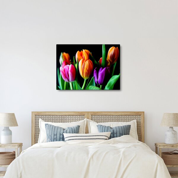 Slika tulipana na crnoj pozadini (70x50 cm)
