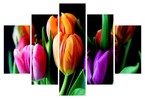 Slika tulipana na crnoj pozadini (150x105 cm)