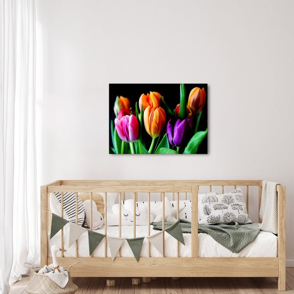 Slika tulipana na crnoj pozadini (70x50 cm)