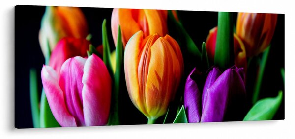 Slika tulipana na crnoj pozadini (120x50 cm)