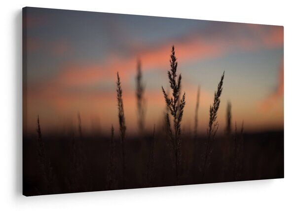 Slika - Silueta biljke (90x60 cm)