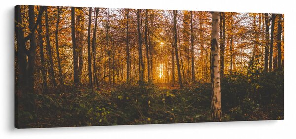 Slika jesenske šume (120x50 cm)