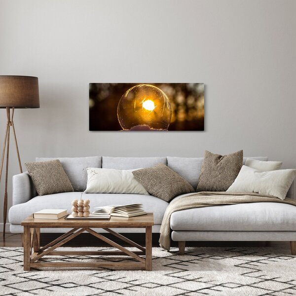 Slika - Prozirni mjehurić (120x50 cm)