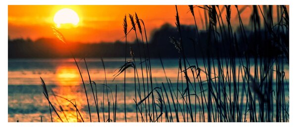 Slika - Zalazak sunca nad jezerom (120x50 cm)