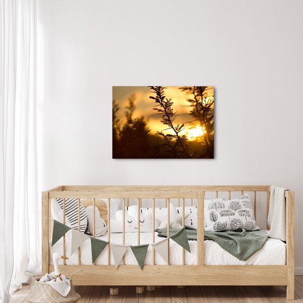 Slika - Zalazak sunca iza stabala (70x50 cm)