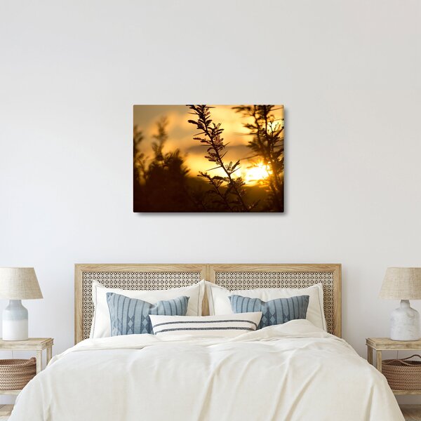 Slika - Zalazak sunca iza stabala (70x50 cm)