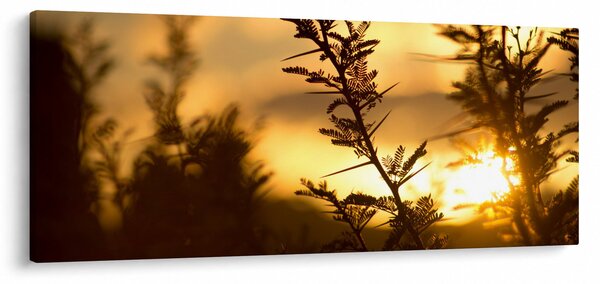 Slika - Zalazak sunca iza stabala (120x50 cm)